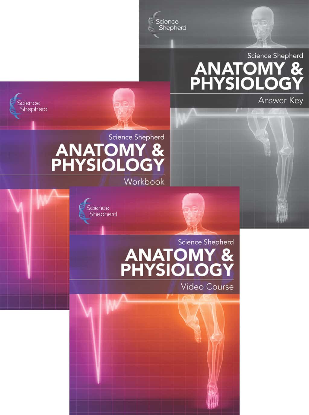 Anatomy & physiology homeschool curriculum bundle of video course, workbook and answer key