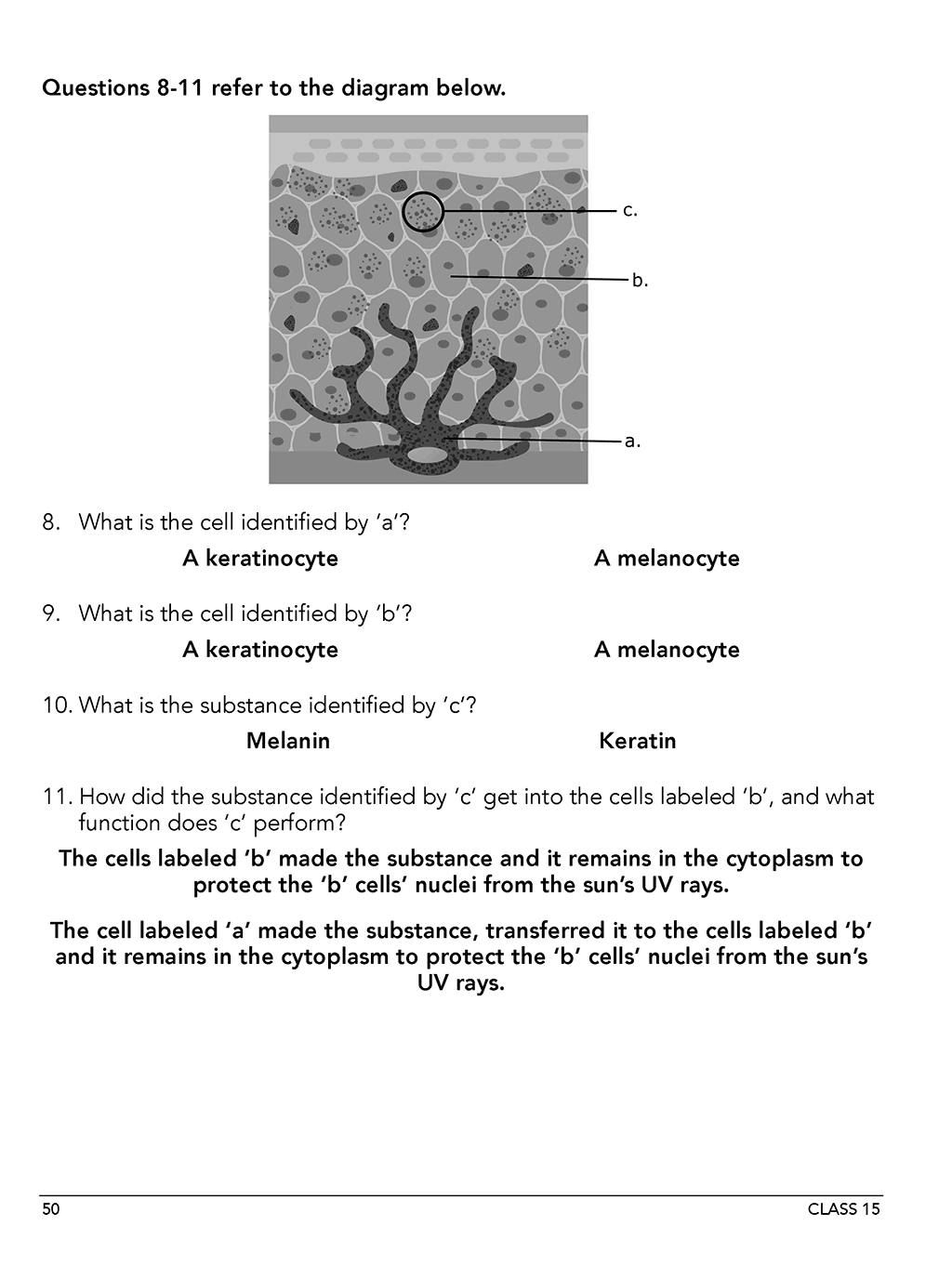 Science Shepherd Anatomy & Physiology homeschool curriculum Workbook Level A sample page 50 Class 15
