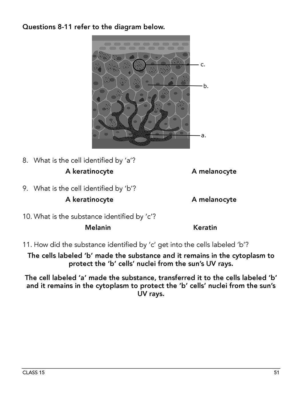 Homeschool anatomy and physiology workbook Level A sample page 51