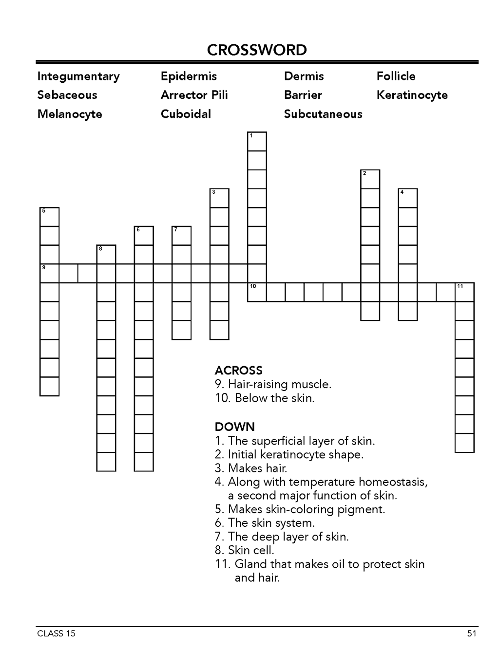 Homeschool anatomy and physiology workbook Level A sample page 51 Class 15