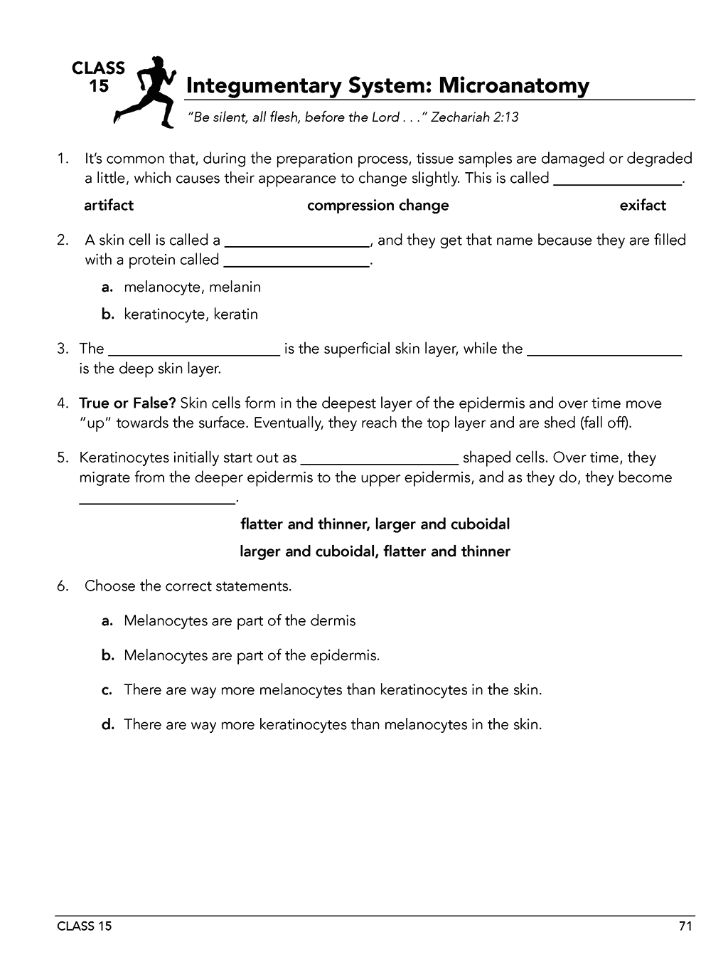 Anatomy & Physiology Workbook Level B