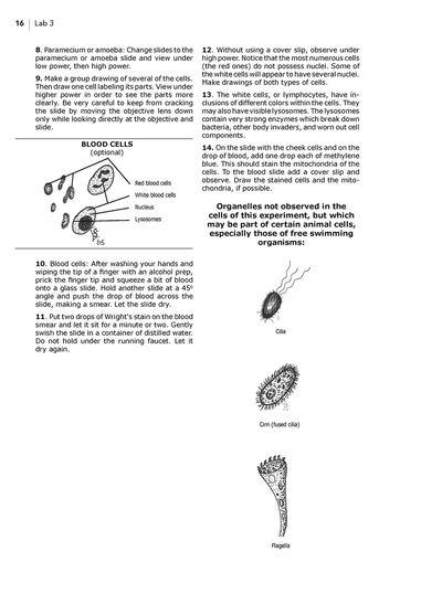 Homeschool Biology labs manual sample page 2 for General Cell Structure in Animals lab
