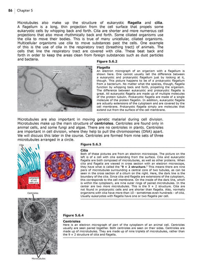 Homeschool Biology Textbook 3rd Edition Revised sample page chapter 5 page 86
