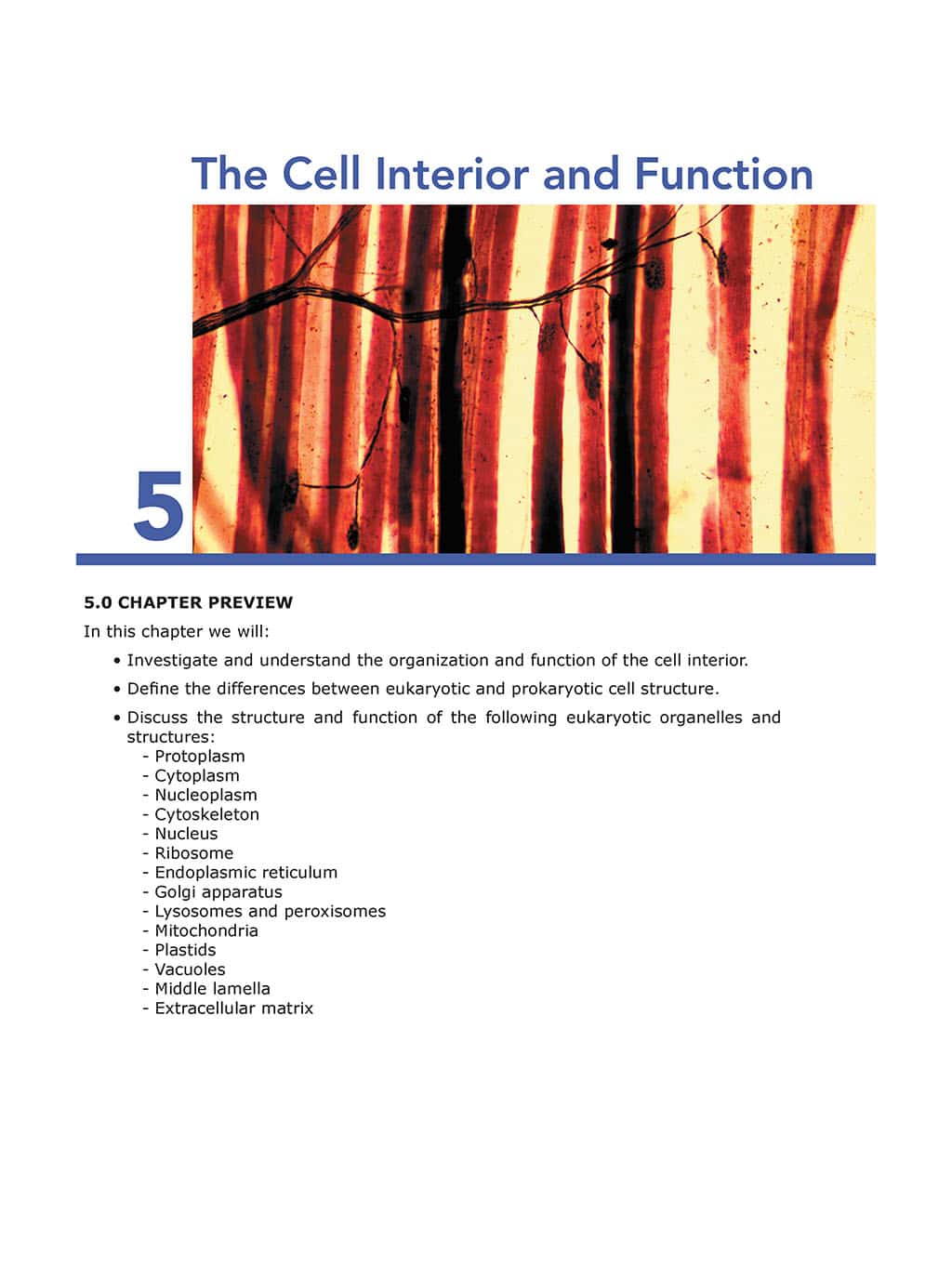 Science Shepherd Homeschool Biology Textbook Chapter 5 page 1