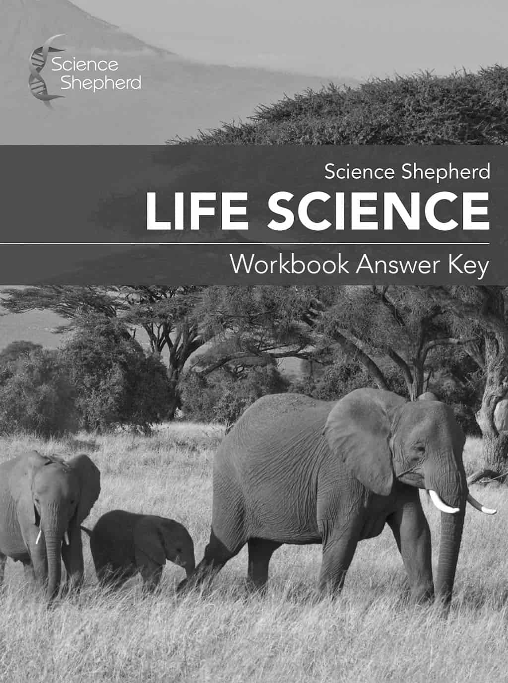 Homeschool curriculum middle school Life Science Workbook Answer Key cover