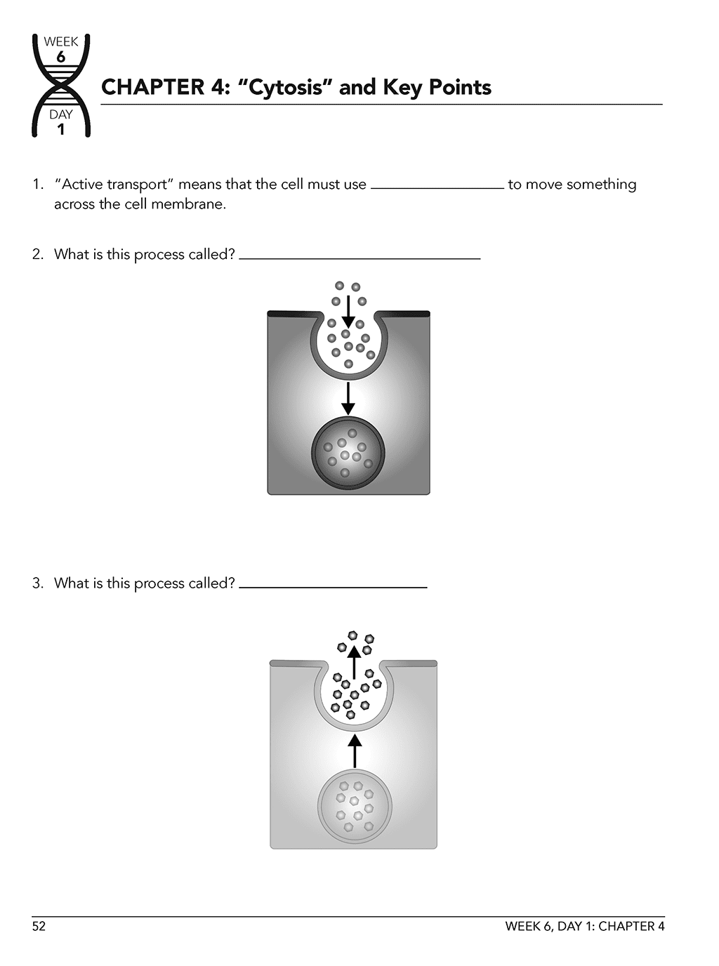 Homeschool Life Science Workbook sample page 1