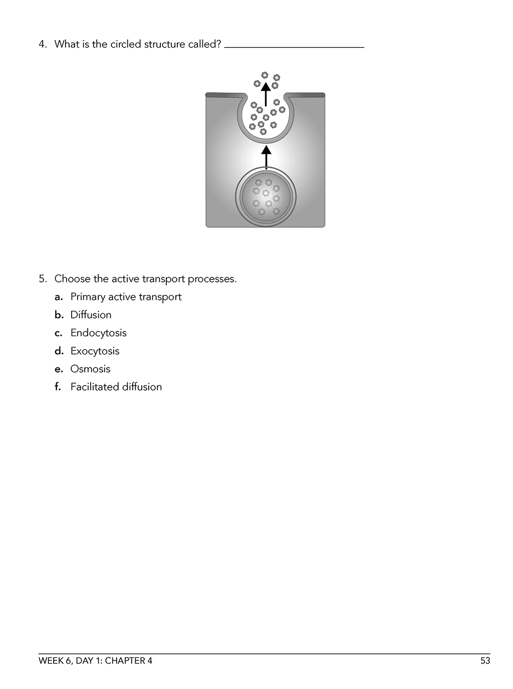 Homeschool Life Science Workbook sample page 2