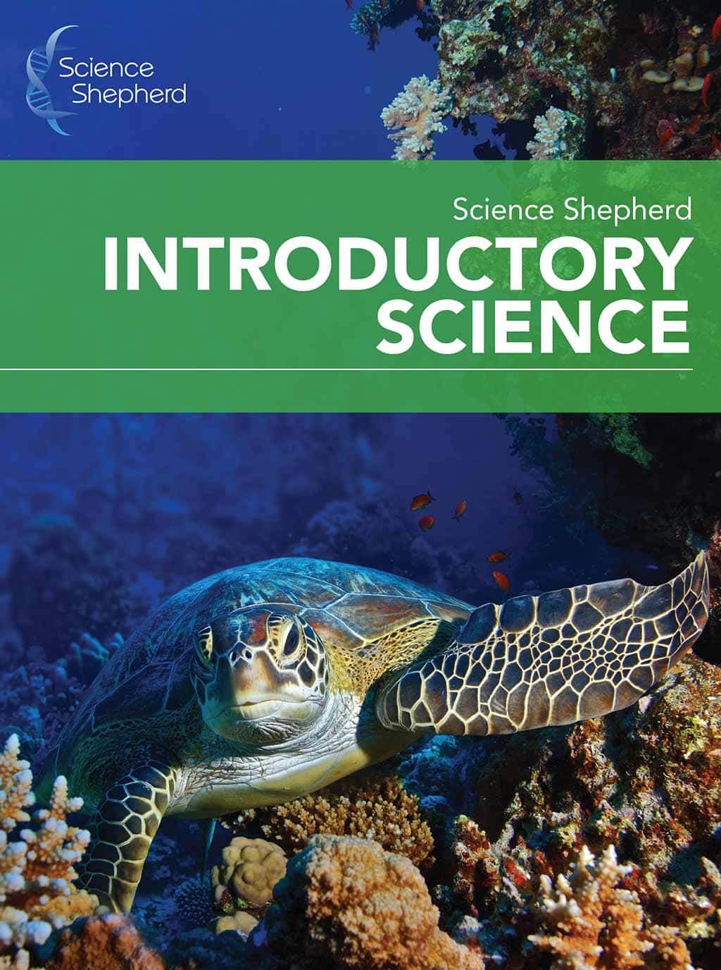 Homeschool elementary science curriculum cover of a sea turtle and coral