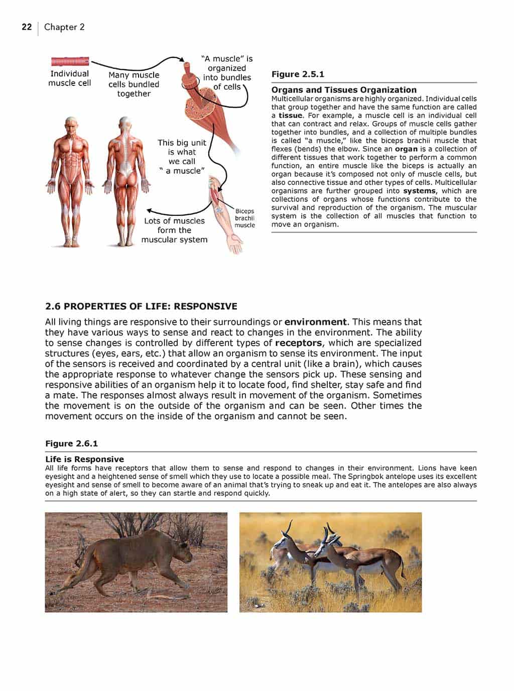 Science Shepherd Life Science homeschool textbook chapter 2 sample page 5