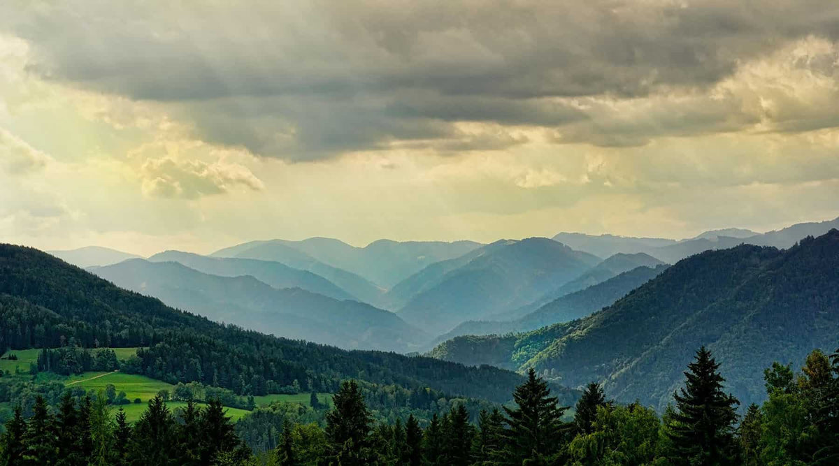Banner of a green valley reflection on creation and evolution as a Christian