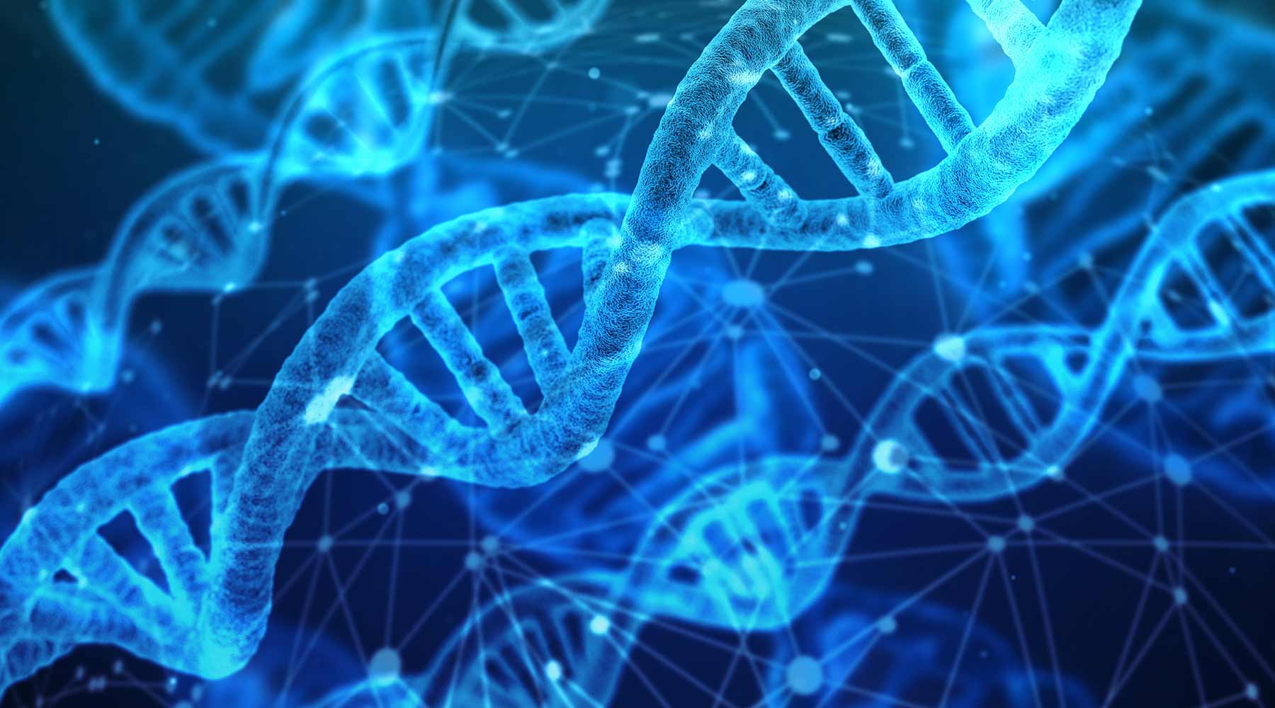 Science Shepherd Homeschool Curriculum blue strands of DNA