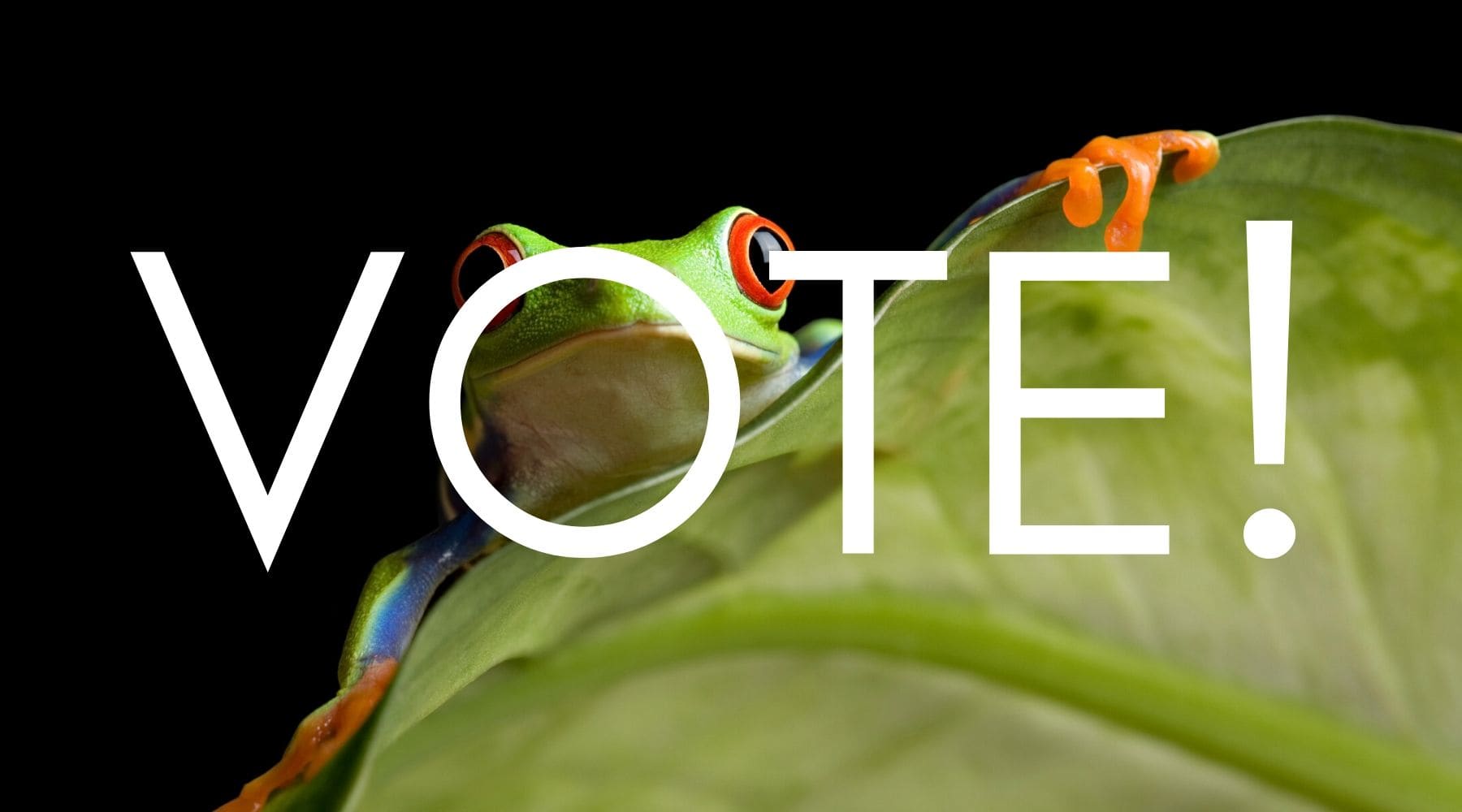 Science Shepherd Homeschool Family Favorite tree frog with Vote! text