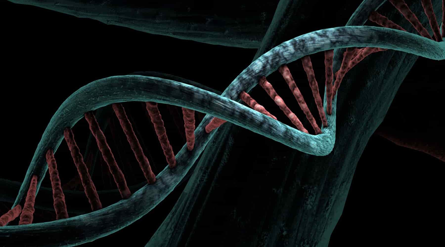 Banner of DNA strand representing Jesus' chromosome