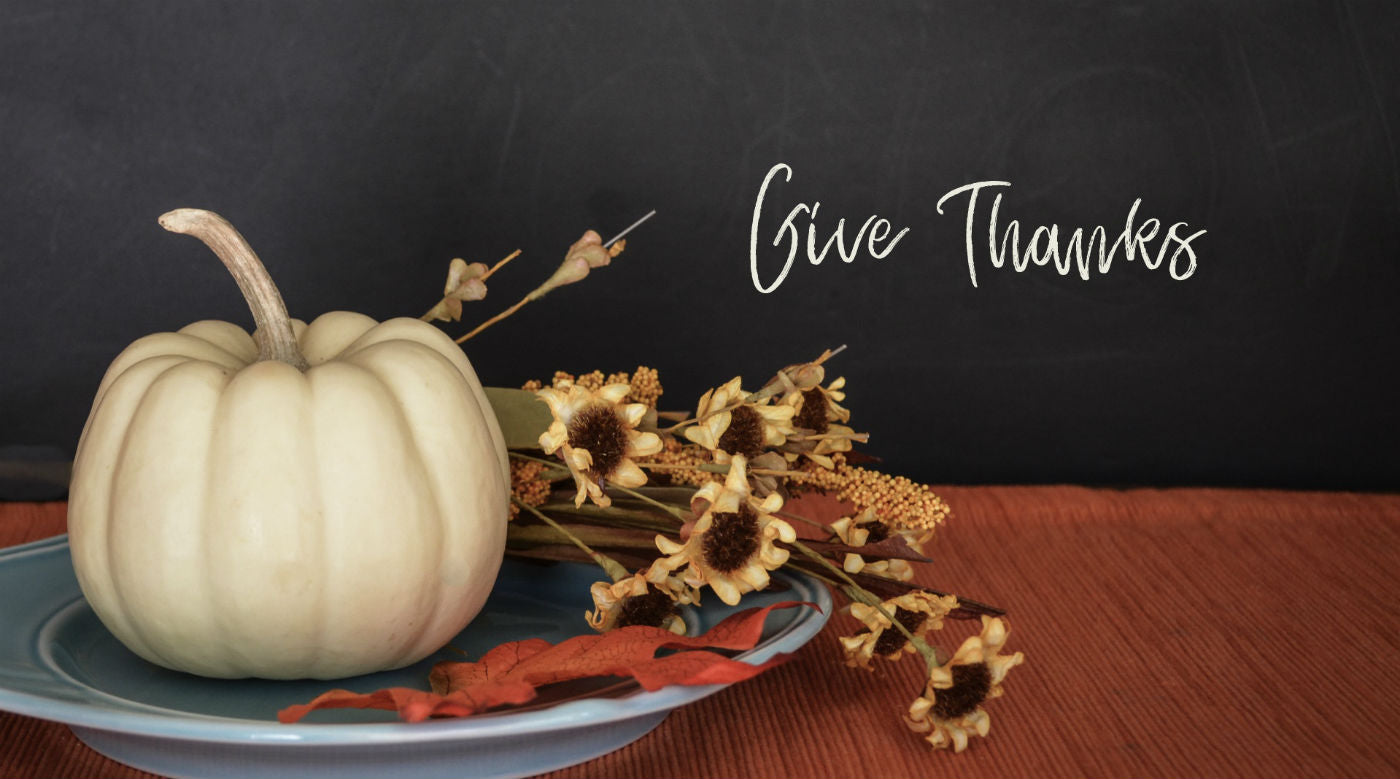 Science Shepherd "Give Thanks" message with white pumpkin