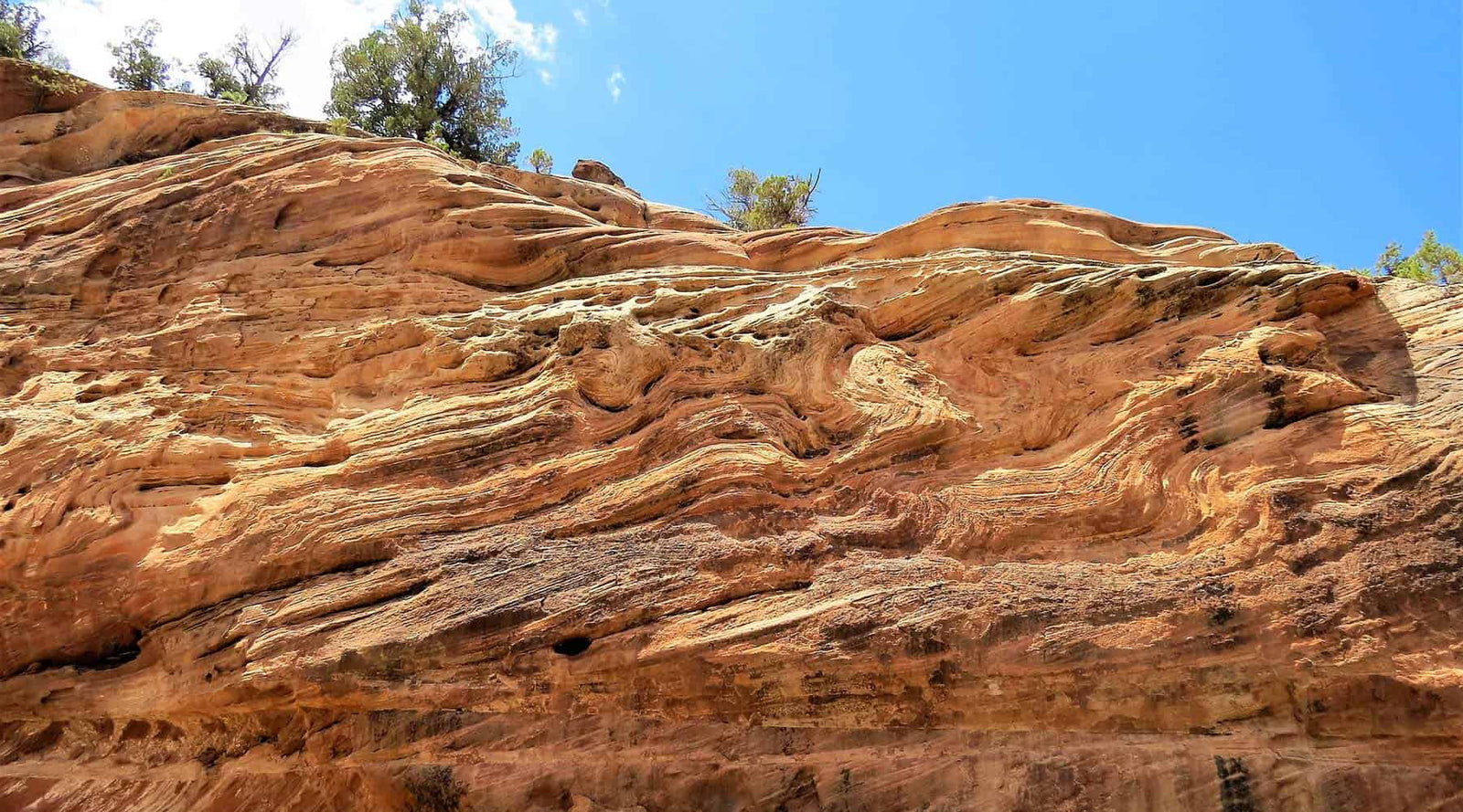 Science Shepherd Homeschool Curriculum image of red rock strata
