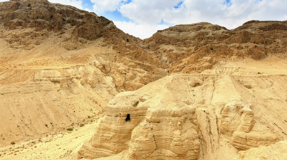 Announcing Lifetime Unearthing the Bible!