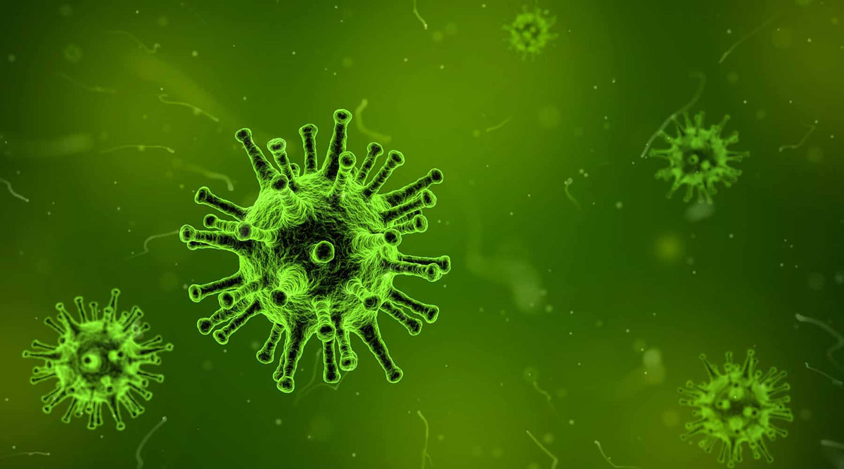 Image of a green virus