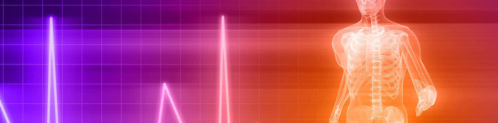 Homeschool anatomy and physiology curriculum banner of skeleton