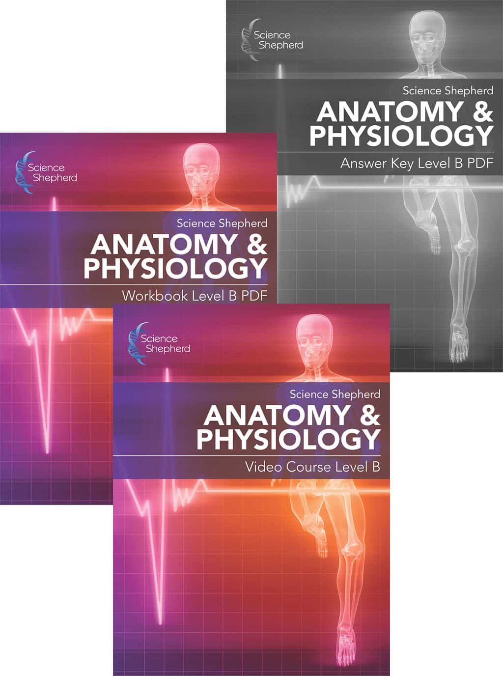 Three Science Shepherd Anatomy & Physiology homeschool curriculum covers arranged overlapping on a white background: Video Course Level B, Workbook Level B PDF, and Answer Key Level B PDF.