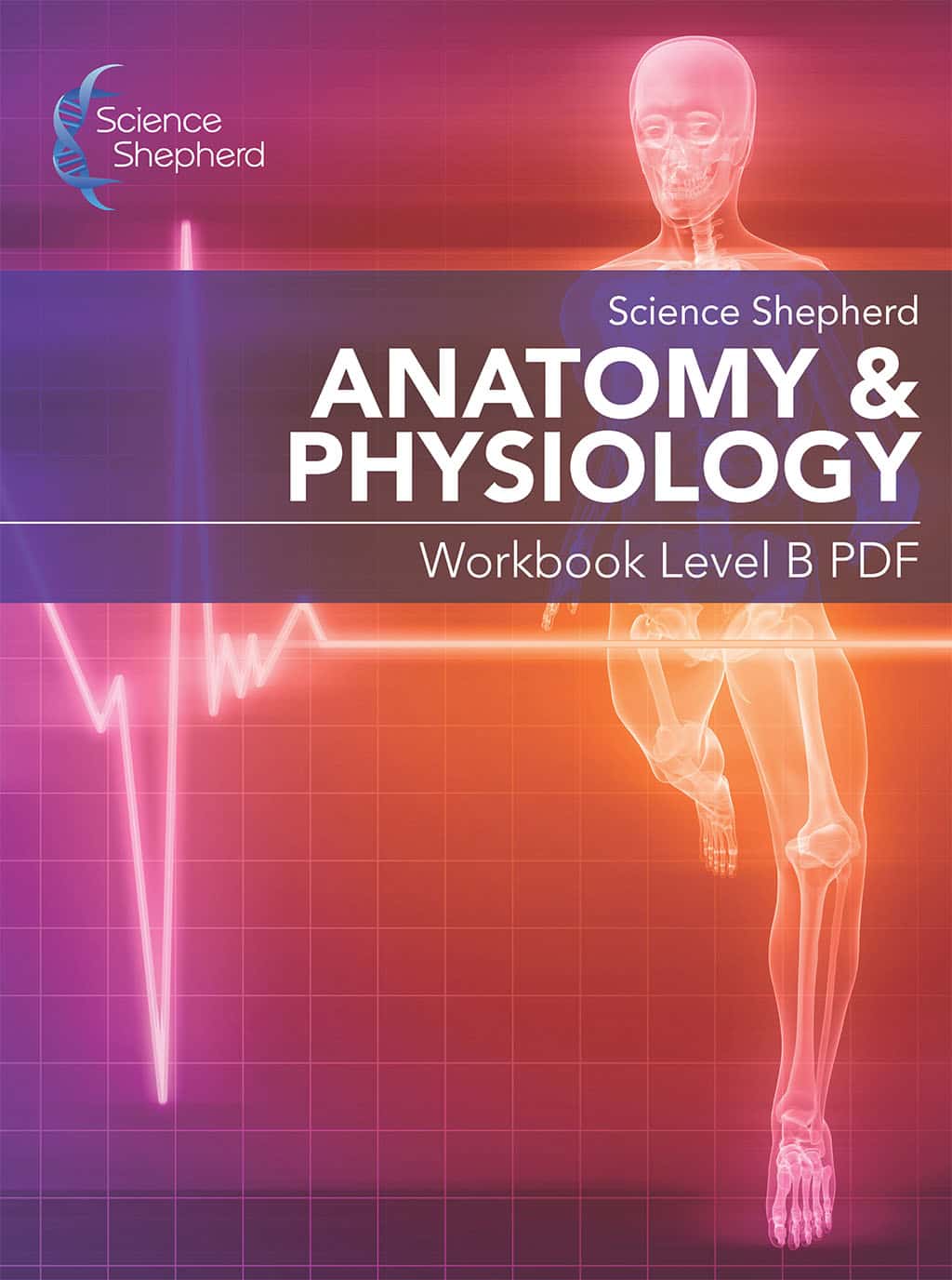 Science Shepherd Anatomy & Physiology homeschool curriculum Workbook Level B cover