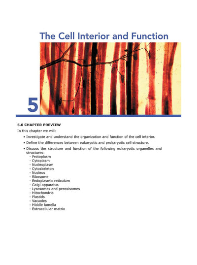 Science Shepherd Biology Homeschool Textbook chapter 5 sample page 1