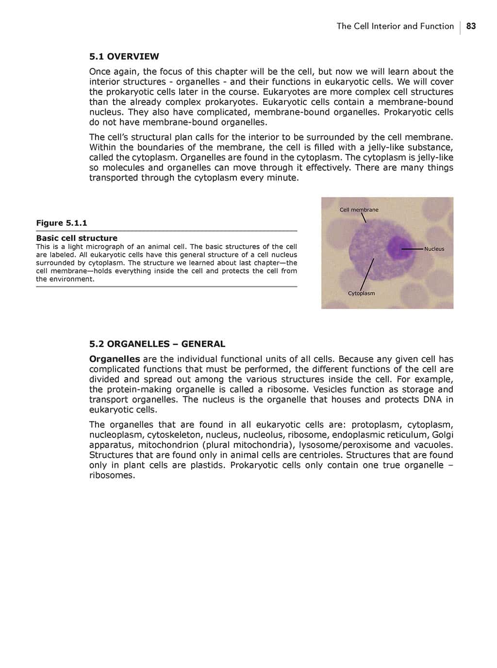 Science Shepherd Biology Homeschool Textbook chapter 5 sample page 2