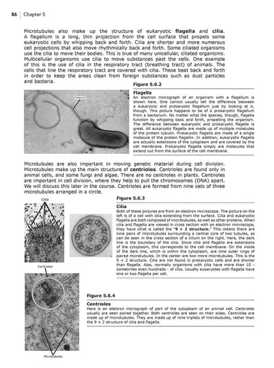 Science Shepherd Biology Homeschool Textbook chapter 5 sample page 4