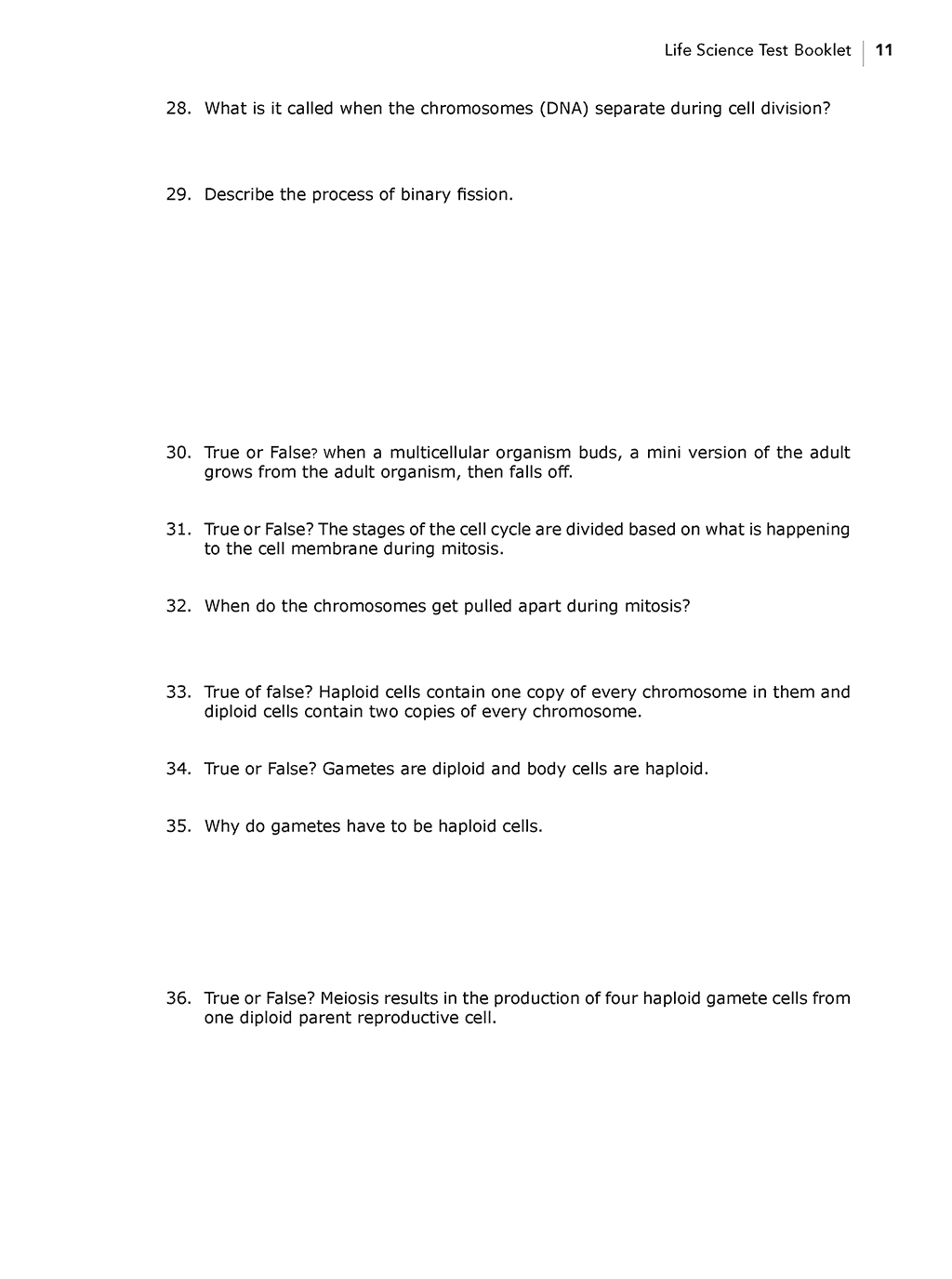 Science Shepherd Christian based science curriculum test booklet sample page 3