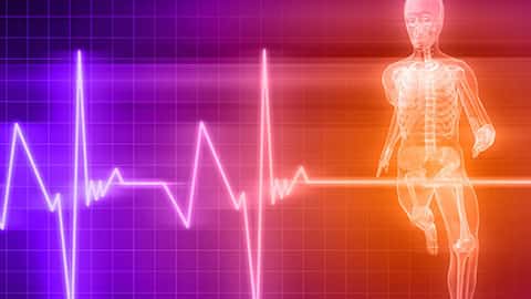 Homeschool anatomy and physiology curriculum banner of skeleton