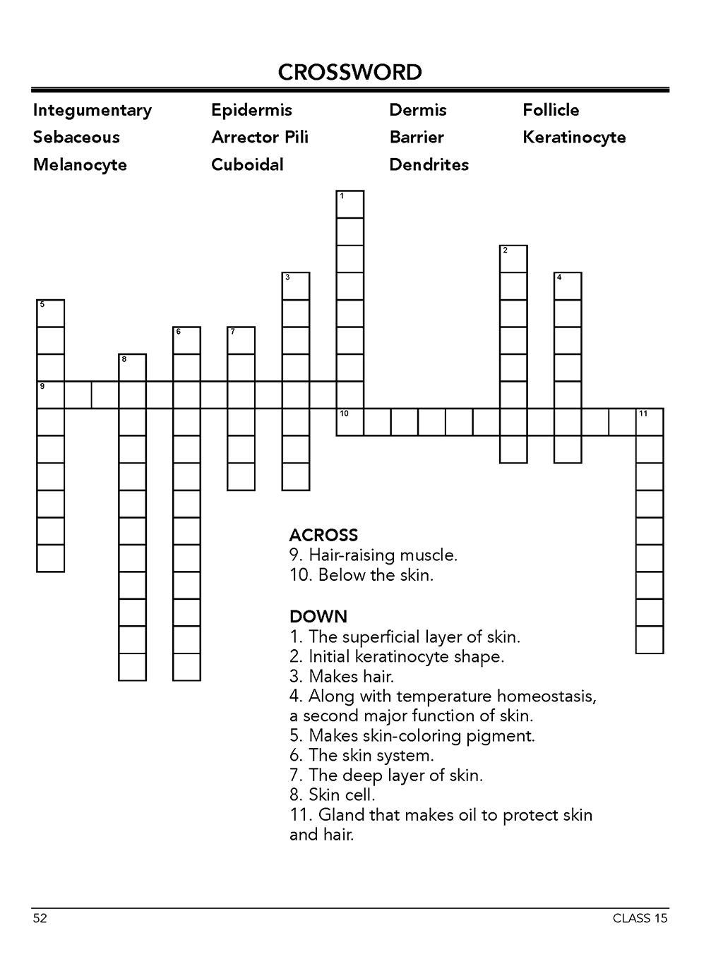 Homeschool anatomy and physiology workbook Level A sample page 52