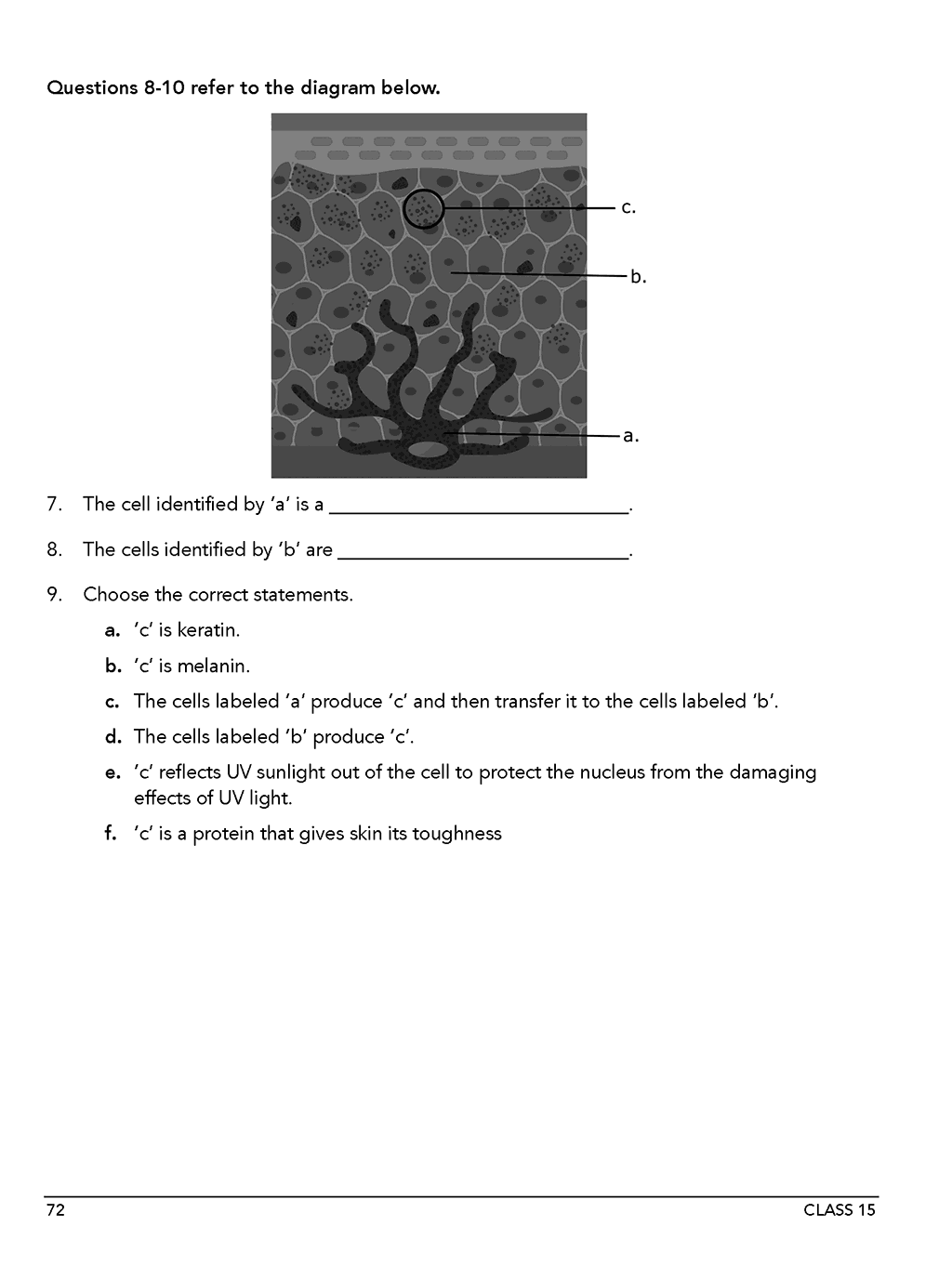 Anatomy & Physiology Workbook Level B