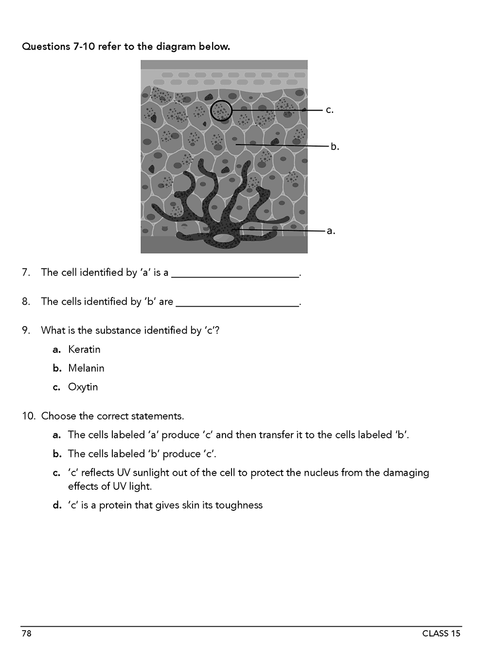 Homeschool anatomy and curriculum sample workbook page 78 Class 15