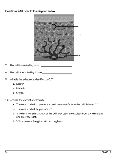 Homeschool anatomy and curriculum sample workbook page 78 Class 15