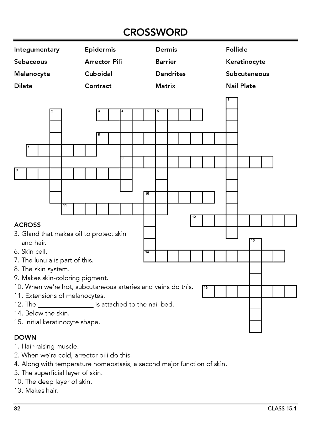 Homeschool anatomy and curriculum sample workbook page 82 Class 15.1