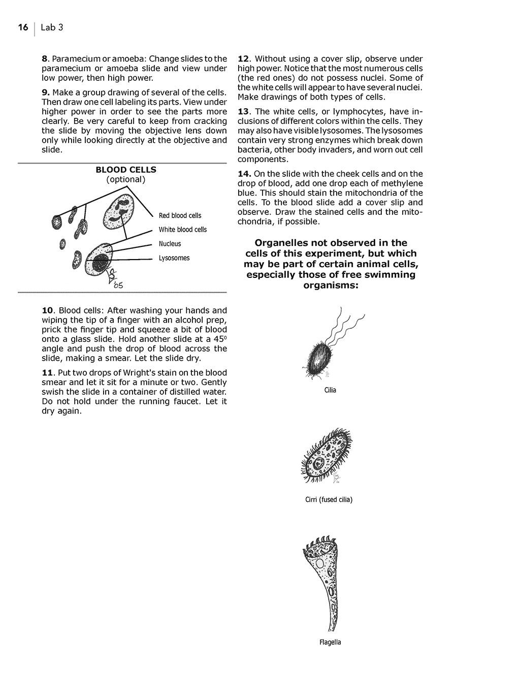 Lab Manual page 2 of General Cell Structure in Animals for homeschool Biology Lab Videos