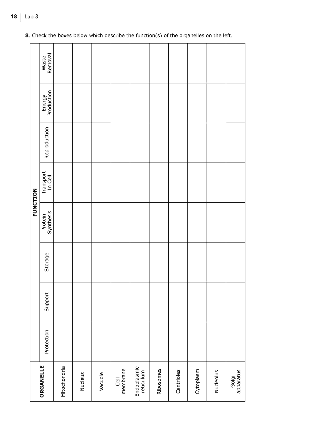 Homeschool Biology Lab Videos organelle worksheet page for General Cell Structure in Animals lab