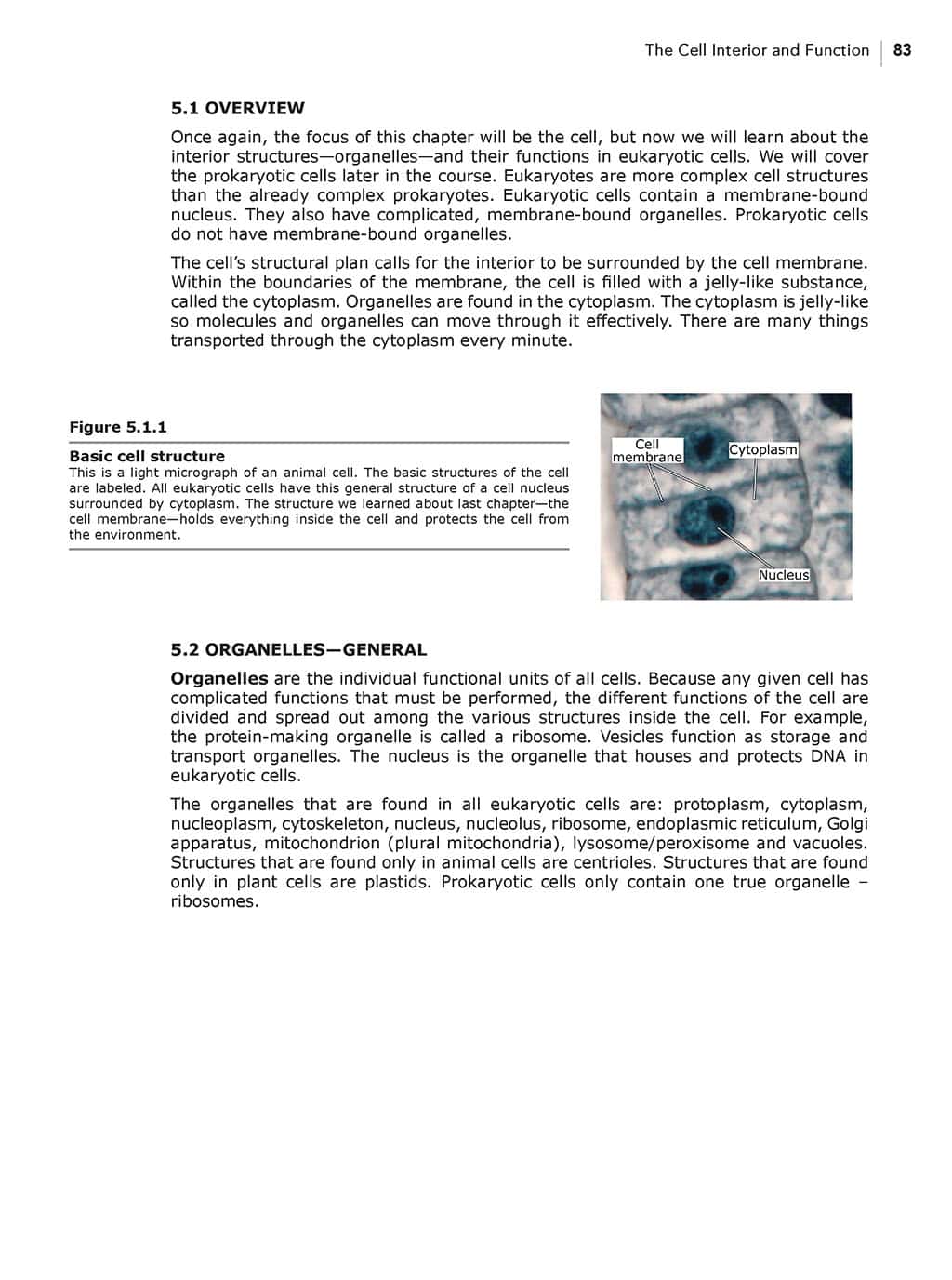 Homeschool Biology Textbook 3rd Edition Revised sample page chapter 5 page 83