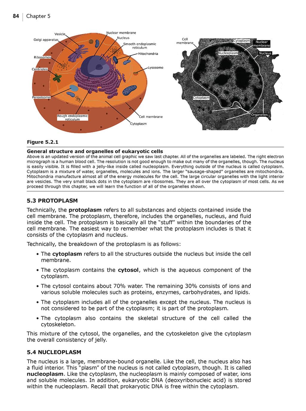 Homeschool Biology Textbook 3rd Edition Revised sample page chapter 5 page 84