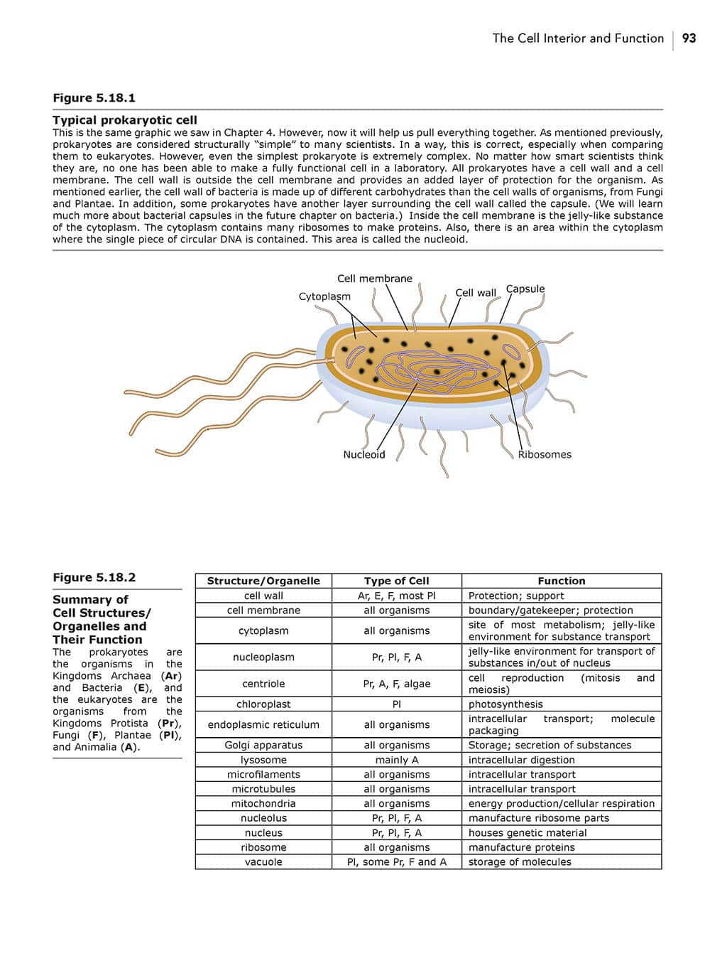 Homeschool Biology Textbook 3rd Edition Revised sample page chapter 5 page 93