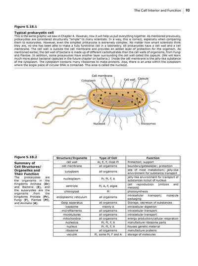 Homeschool Biology Textbook 3rd Edition Revised sample page chapter 5 page 93