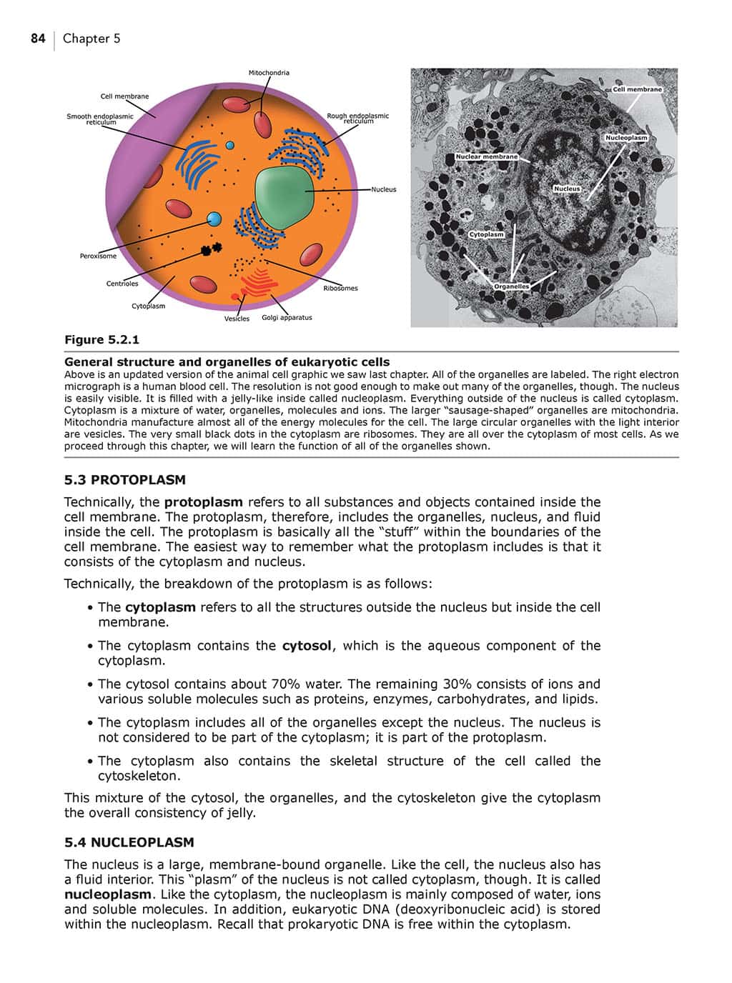 Science Shepherd Biology homeschool high school science Textbook chapter 5 sample page 3