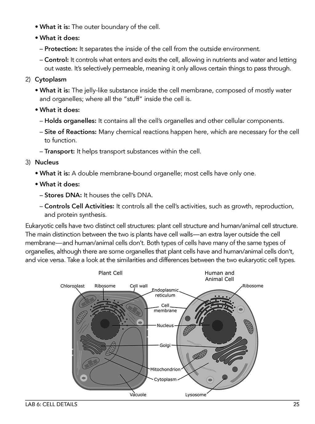 Homeschool Life Science Lab Manual sample page showing cell interior diagram