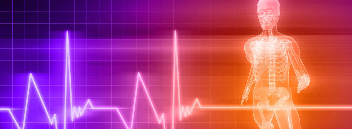 A glowing orange translucent human skeleton model stands against a red-to-purple gradient background with a neon-style heartbeat line across the frame.