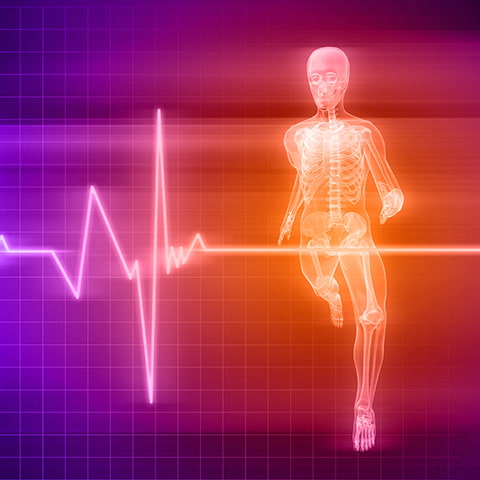 A glowing translucent human skeleton figure in a running pose on a purple-to-orange gradient background with a pink heartbeat line and grid overlay.