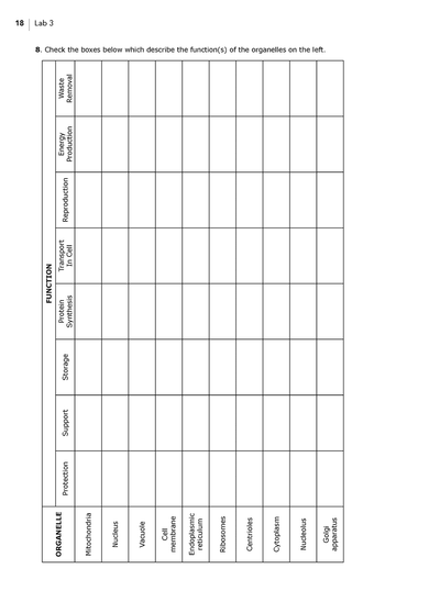 Science Shepherd Biology homeschool science labs manual sample page 4