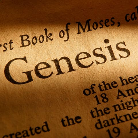 Science Shepherd Christian Homeschool Curriculum Blog banner showing Genesis page from the Bible