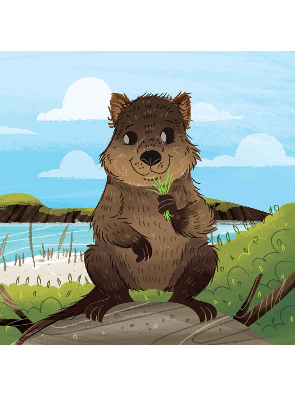 What Can You Do Australia creation science for kids board book quokka page