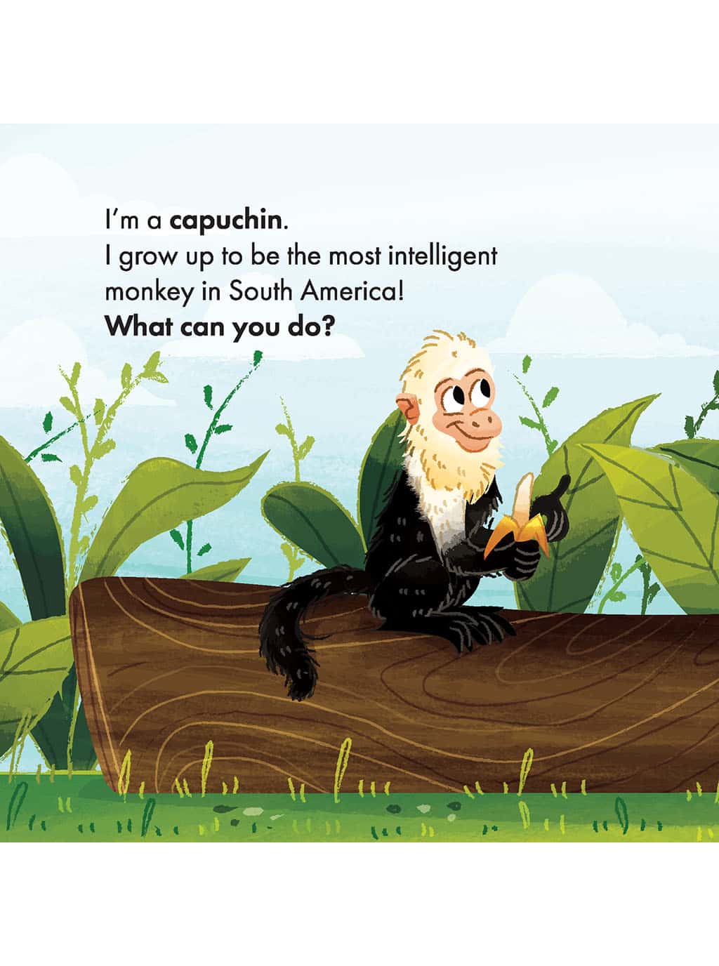 What Can You Do, South America? Christian board books for toddlers page with facts about capuchins