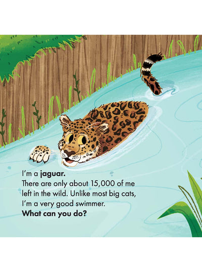 What Can You Do, South America? Christian board books for toddlers page with facts about jaguars