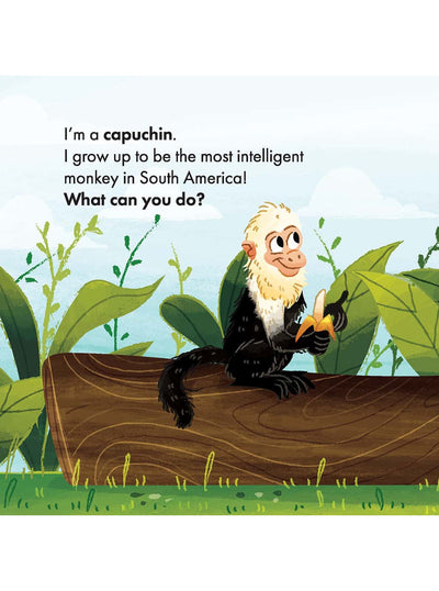 What Can You Do South America creation science for kids board book capuchin page